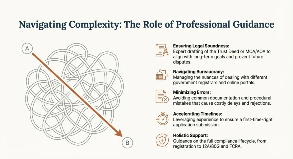 Why Professional Help Matters for NGO Registration​